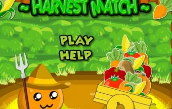 Žaidimas apie daržovių derlių, Rinkite daržoves vienodos spalvos.